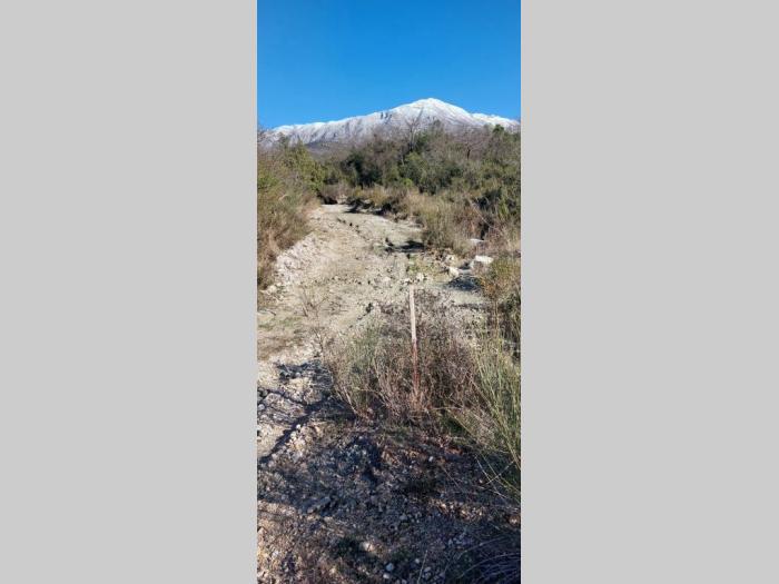 plac, u blizini igala 2x55 ari(list nepokretnosti 265, broj 569 i 565 1 vlasnik besplatni mali oglasi