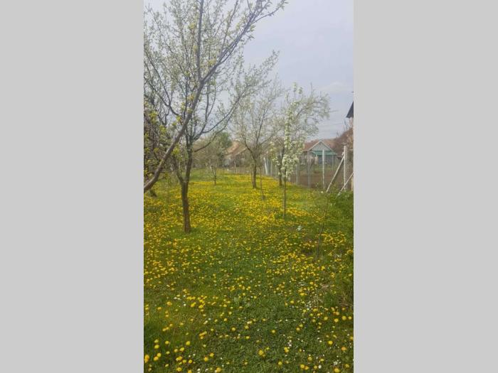 prodaje se kuća šidu besplatni mali oglasi