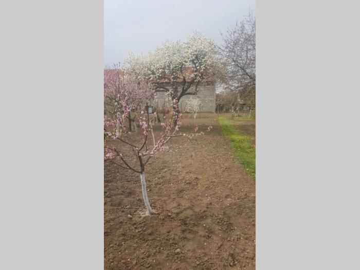 prodaje se kuća šidu besplatni mali oglasi