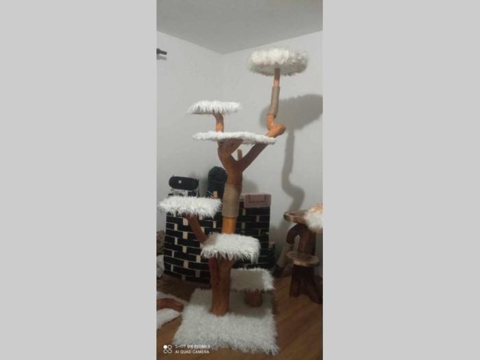 grebalice penjalice besplatni mali oglasi