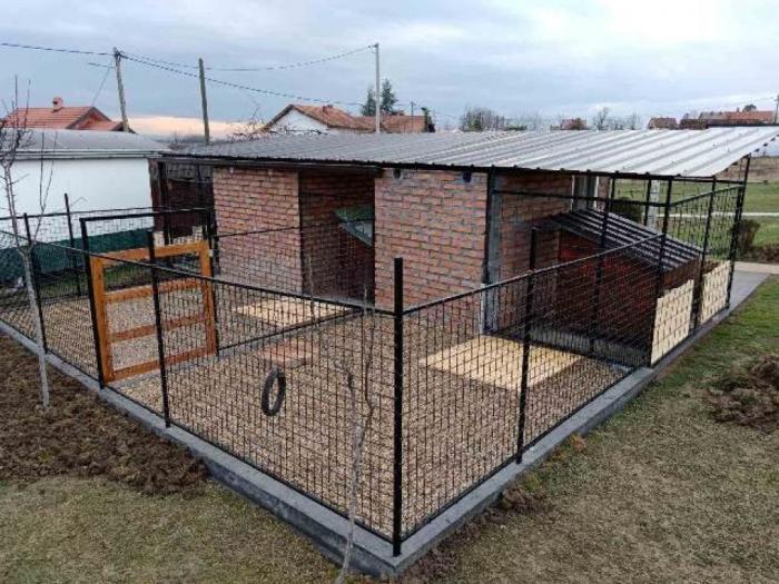 američka akita ženski štenci besplatni mali oglasi