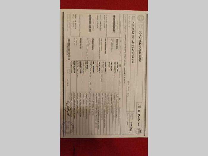 nemački ovčar štenci besplatni mali oglasi