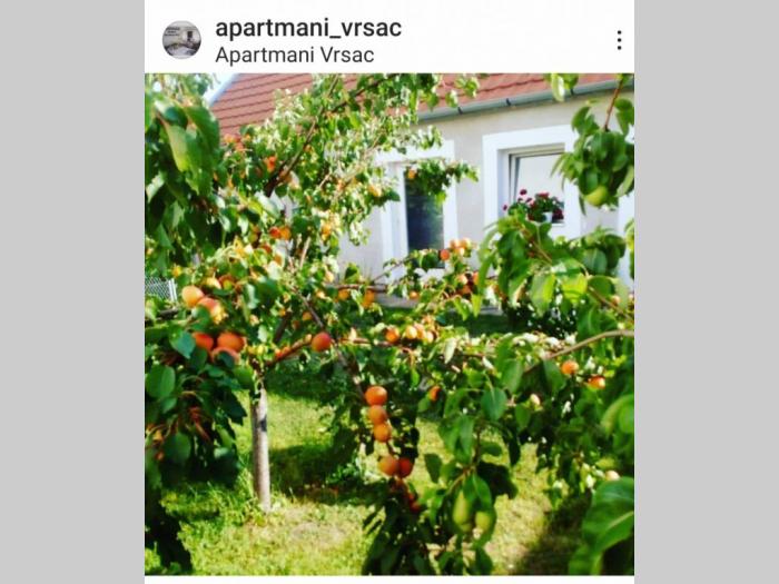 apartmani za domaće i strane firme vršac i pančevo besplatni mali oglasi