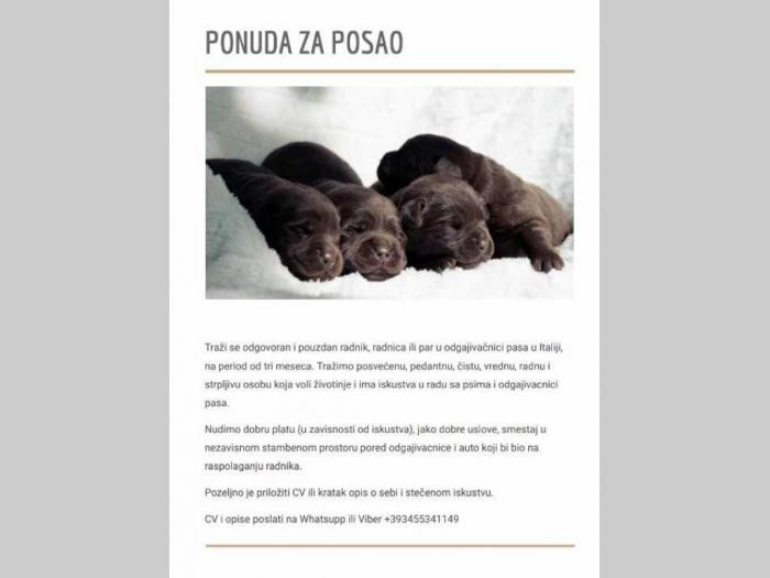 potreban radnik u odgajivačnici pasa u italiji besplatni mali oglasi