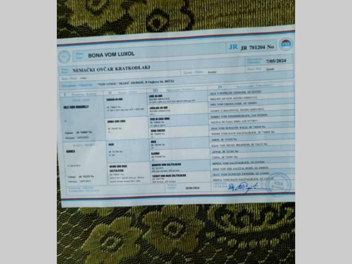 nemacki ovčar odlično štenci besplatni mali oglasi