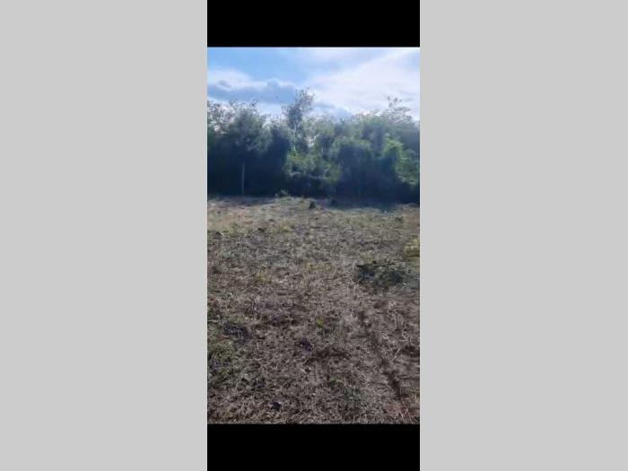 na prodaju plac od 4 05 ara na lokaciji požarevac put beograd besplatni mali oglasi
