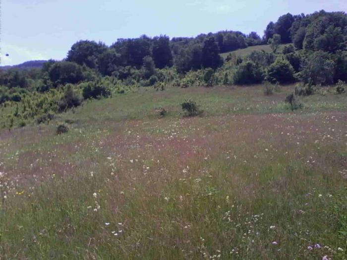 stara planina placevi besplatni mali oglasi