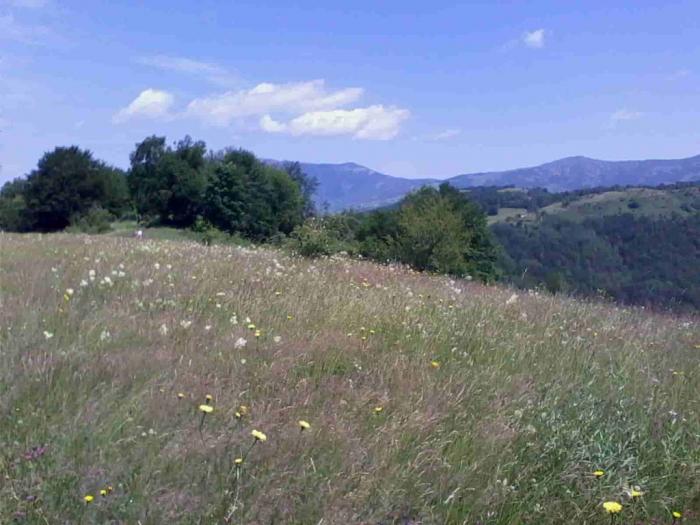 stara planina placevi besplatni mali oglasi