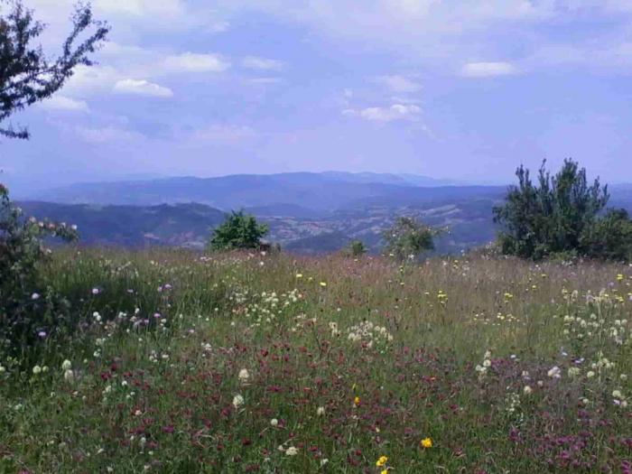 stara planina placevi besplatni mali oglasi