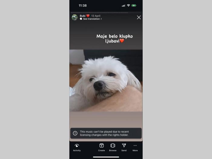 maltezer prelepi štenci besplatni mali oglasi
