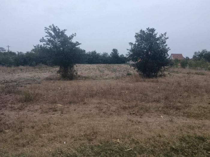 plac na prodaju bočar, 1666 m besplatni mali oglasi