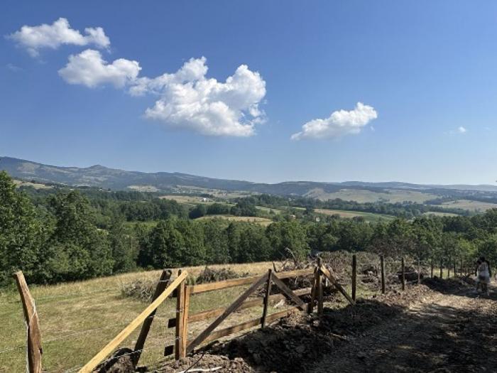 na prodaju zemljište ukupne površine 80 ari tometino polje, divčibare besplatni mali oglasi