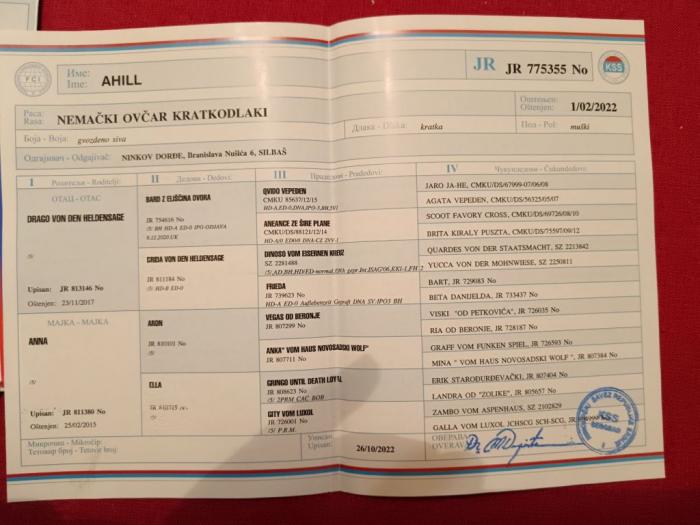 nemački ovčar muško i žensko štene besplatni mali oglasi
