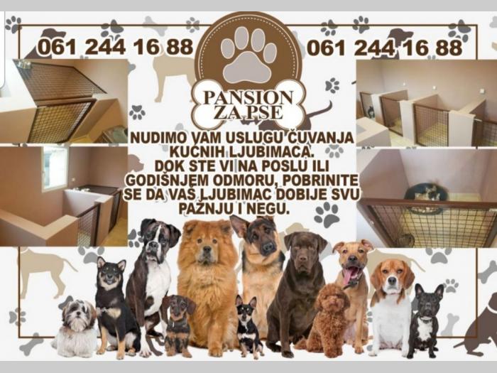 pansion za pse besplatni mali oglasi