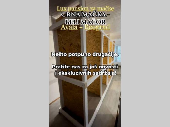 crna mačka beli mačor, luksuzni pansion besplatni mali oglasi