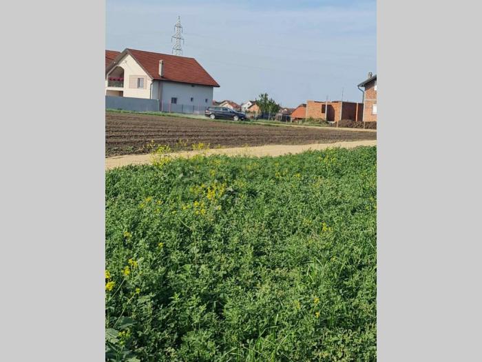 plac 5 ari batajnica besplatni mali oglasi